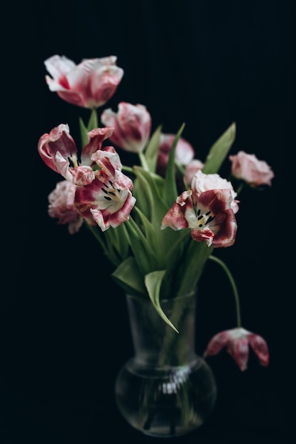 een boeket van mooie vervaagde tulpen op een zwarte achtergrond. glazen vaas een symbool van verlatenheid, armoede