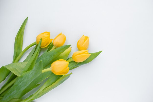 Een boeket van verse, mooie tulpen gerangschikt op wit