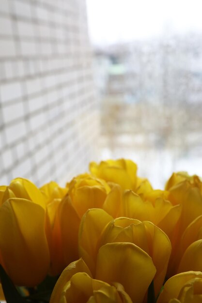 Een boeket verse gele tulpen in een vaas op een tafel bij het raam