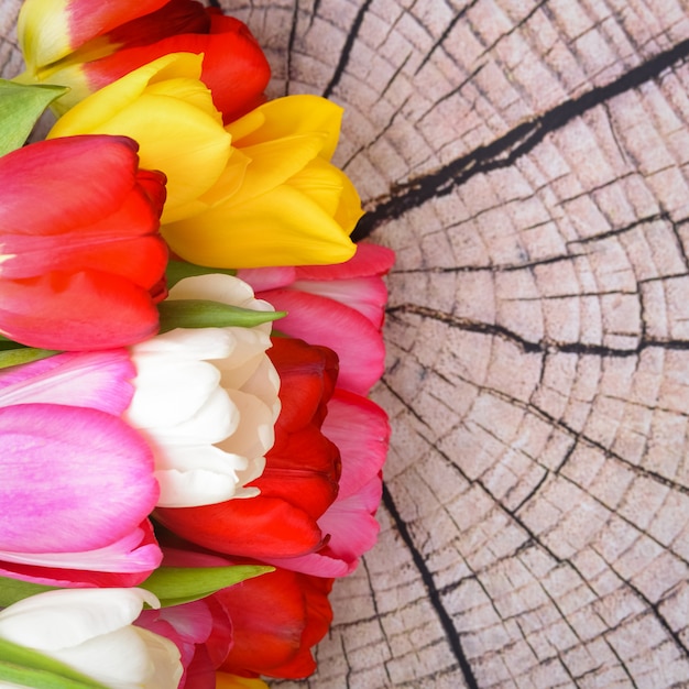 Een boeket verse, heldere, veelkleurige tulpen