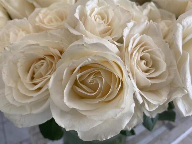 Een boeket witte rozen met bovenaan een spiraalpatroon.