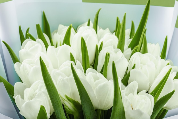 Een boeket witte tulpen op een pastelgroene achtergrond Bloeiende bloemen feestelijk concept