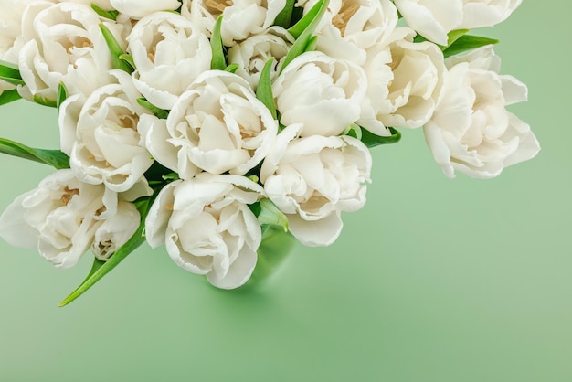 Foto een boeket witte tulpen op een pastelgroene achtergrond bloeit