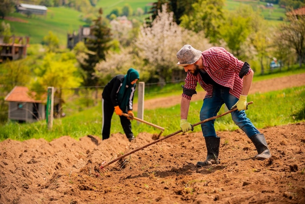 Een boer cultiveert de grond Handmatige teelt en verzorging van gewassen