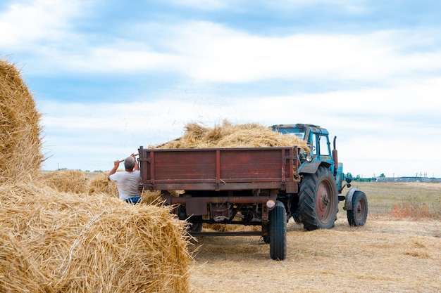 Een boer maakt hooi klaar voor dieren een man gooit hooi in een tractoraanhanger landbouwconcept