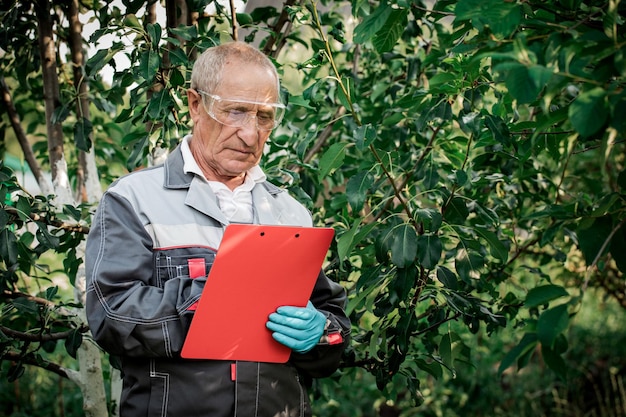 Een boer met een tablet onderzoekt de appelbomen in de tuin Een man die in een grote tuin staat en de gezondheid van appelbomen controleert