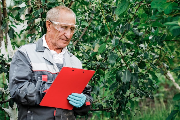 Een boer met een tablet onderzoekt de appelbomen in de tuin Een man die in een grote tuin staat en de gezondheid van appelbomen controleert