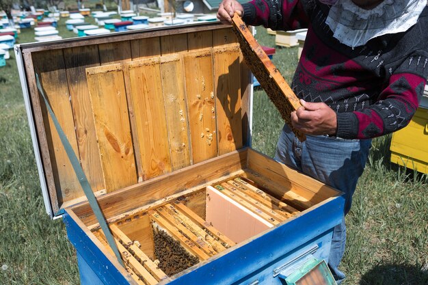 Een boer op een bijenstal houdt frames vast met washoningraten