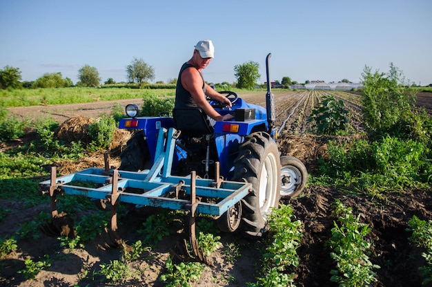 Een boer op een tractor met een ploeg werkt in het veld Jonge aardappelen struiken Agro-industrie en agribusiness Landbouwmachines Gewasverzorging bodemkwaliteitsverbetering Ploegen en losmaken van grond