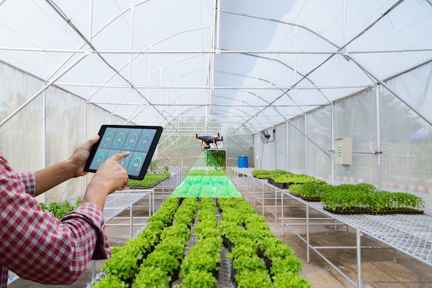 Een boer-tuinman houdt een tablet vast om onbemande luchtvaartuigen van landbouwproducten te inspecteren