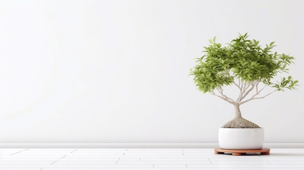 Een bonsaiboom in een witte pot op een houten platform.