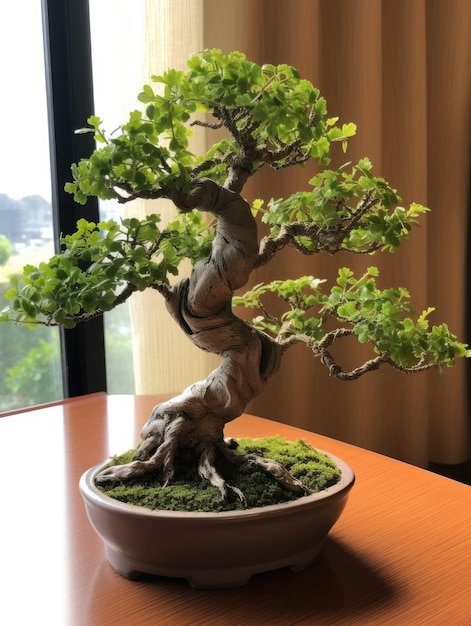 Een bonsaiboompje staat op een tafel met een raam op de achtergrond.