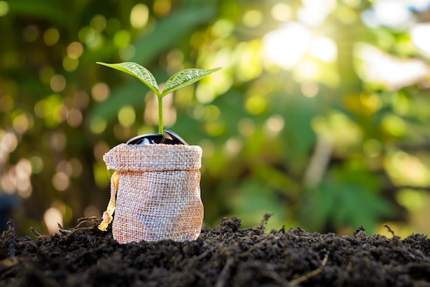 Een boom groeit op een geldzak op de grond Financieel concept en geldgroei