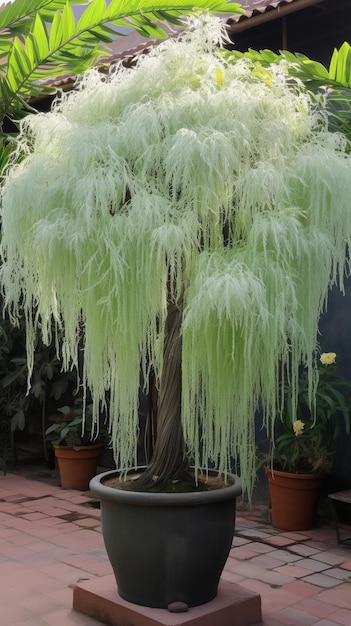 Foto een boom met lange groene veren erop