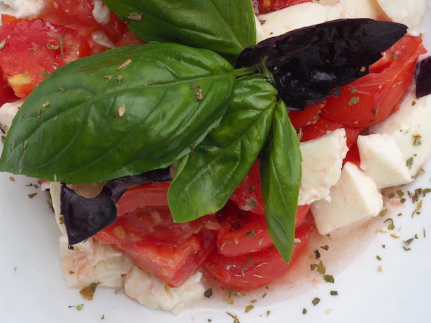 Een bord eten met tomaten, mozzarella en mozzarella.