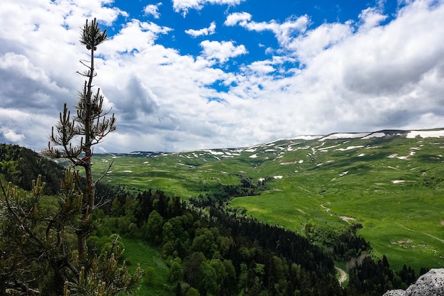 Een bos bij de rotsen met uitzicht op de alpenweiden Het LagoNaki-plateau in Adygea, Rusland 2021