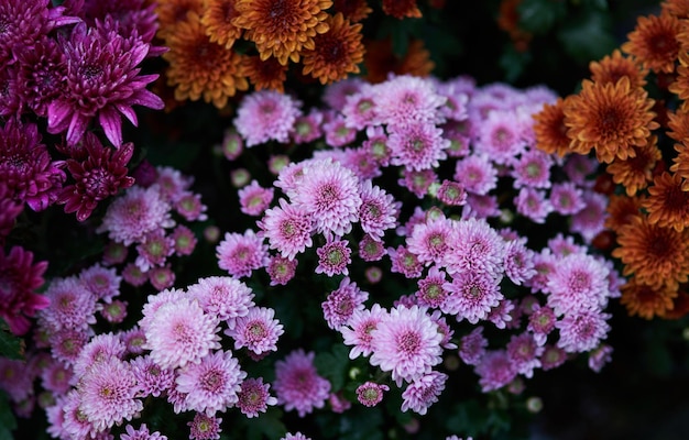 Een bos bloemen staat in een tuin