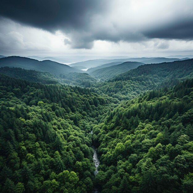 een bos met een rivier en een waterval op de achtergrond