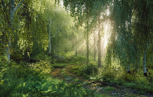 Foto een bos met zonnestralen die door de bomen komen