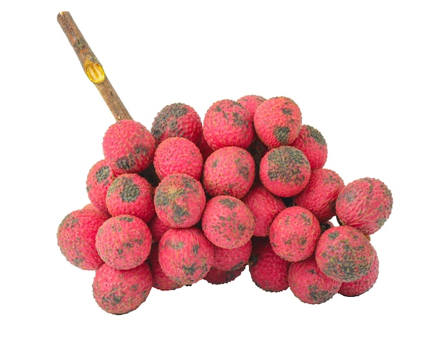 Foto een bos raspberries met een stok waarop 