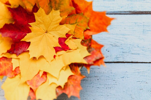 Een bos rode en gele droge esdoornbladeren in de herfst op een blauwe houten achtergrond