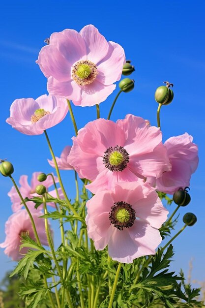 Foto een bos roze bloemen met groene centra in het midden