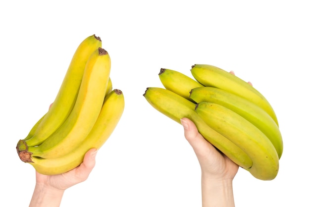 Een bos van bananen in vrouwenhand die op witte achtergrond wordt geïsoleerd