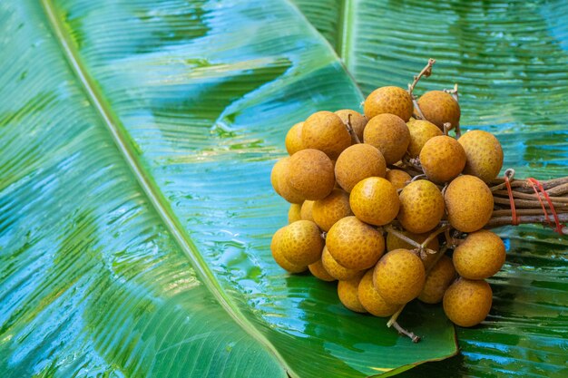 Een bos van longan takken van groene bananenblad. Vitaminen, fruit, gezond voedsel