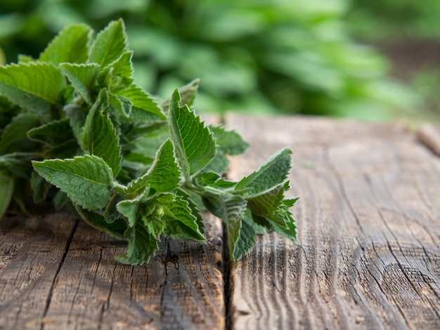 Een bosje verse munt op een houten tafel Healthy food concept