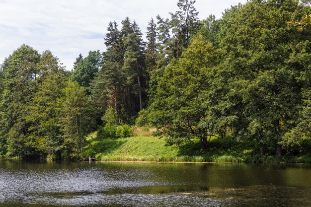 Een bosmeer omgeven door bomen