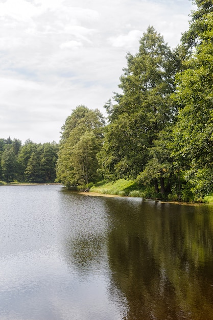 Een bosmeer omgeven door bomen