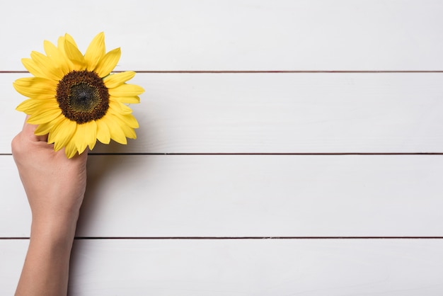 Foto een bovenaanzicht van hand met gele zonnebloem op houten achtergrond