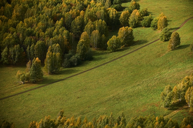 Een bovenaanzicht van kleurrijke bosbomen en meer in het herfstseizoen.