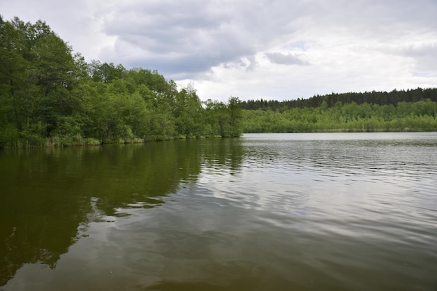 Een brede rivier met bomen aan de kust Ulyanovsk regio Rusland