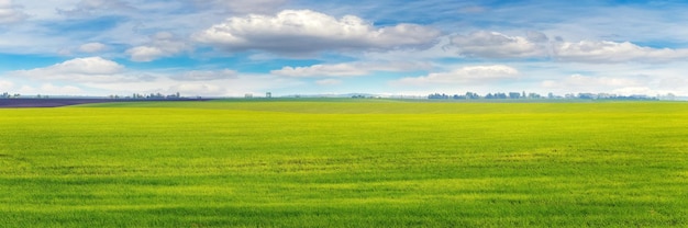 Een breed veld met jong groen gras en een schilderachtige blauwe lucht met witte wolken Lentelandschap Groen gras in het veld