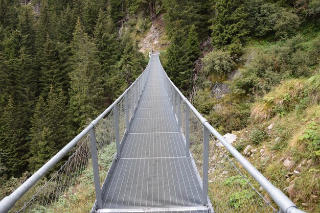 Foto een brug tussen de bomen.