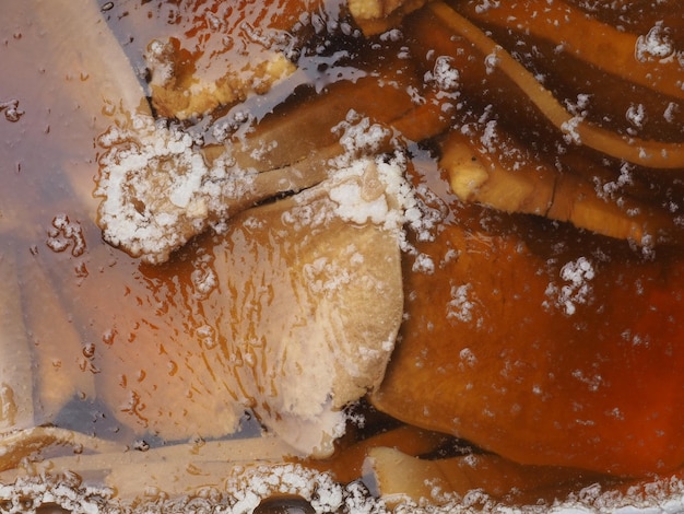 Een bruine paddenstoel in een bruine pot met water erop.