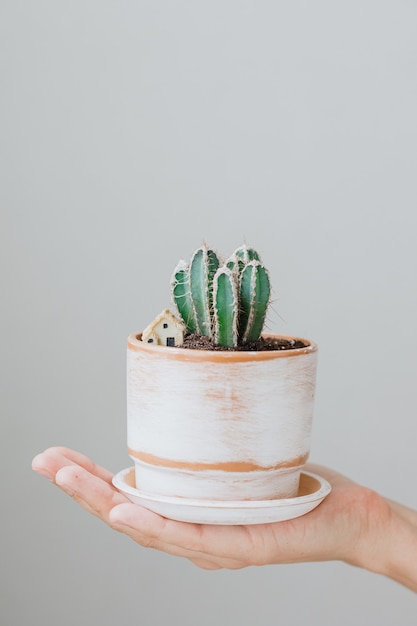 Een cactus in een mooie aarden pot op de hand van een Europese vrouw potplant voor huisdecoratie