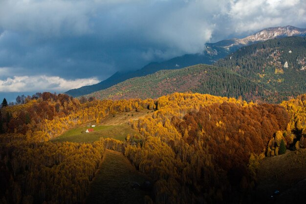 Een charmant berglandschap in de Bucegi-bergen, de Karpaten, Roemenië. Herfst natuur in Moeciu