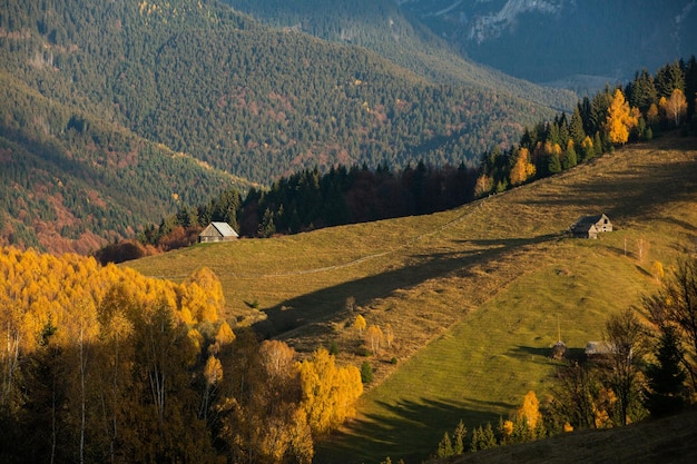 Een charmant berglandschap in de Bucegi-bergen, Karpaten, Roemenië