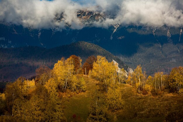 Een charmant berglandschap in de Karpaten, Roemenië.