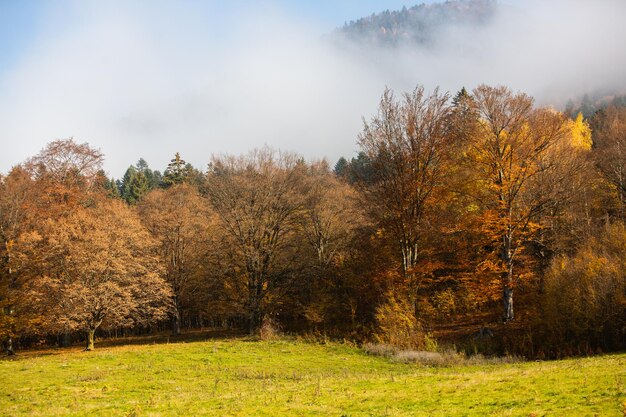 Een charmant berglandschap in de Karpaten, Roemenië