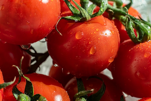 Een close-up beeld van kersenrode tomaat op de tak met waterdruppels erop, rauwe verse voeding