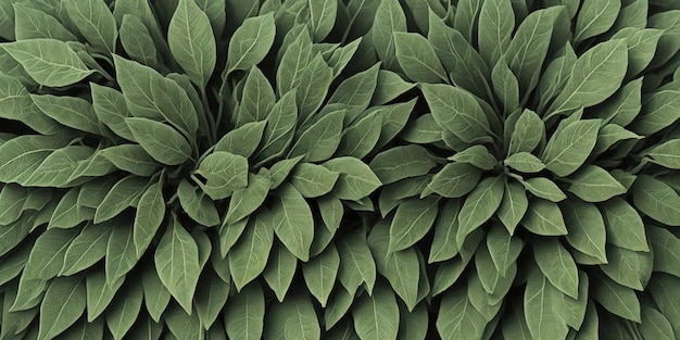 Een close-up van bladeren met het woord bladeren erop