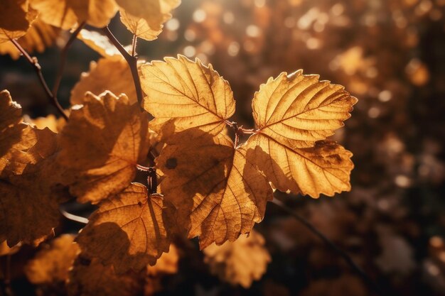 Een close-up van bladeren waar de zon op schijnt