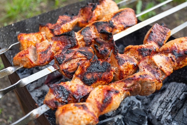 Een close-up van de taarten van varkensvlees in teriyakisaus wordt op spiesjes gebakken. Bereiding van een shish kebab op een zomerse dag