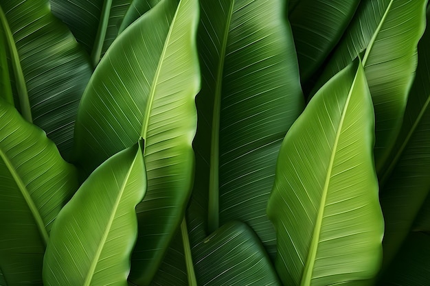 een close-up van een bos groene bladeren met een zwarte achtergrond Generatieve AI