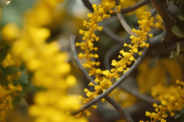 Een close-up van een DNA-structuur met gele bloemen