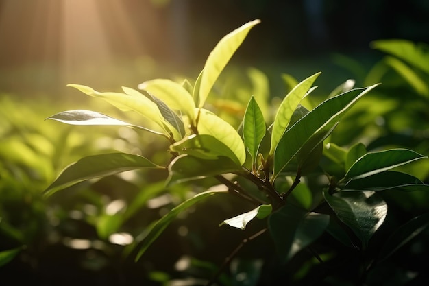 Een close-up van een generatieve AI van een groene bladplant