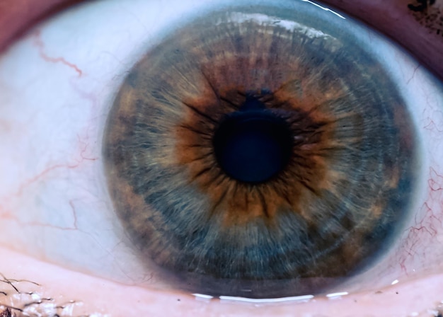 Foto een close-up van een menselijk oog